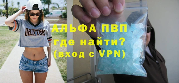 стаф Новодвинск