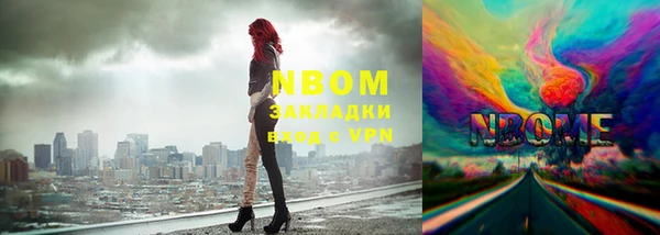 стаф Новодвинск