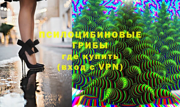 стаф Новодвинск