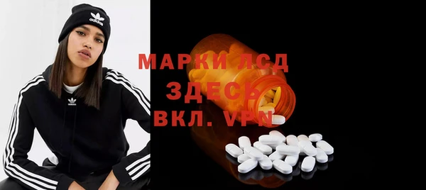стаф Новодвинск