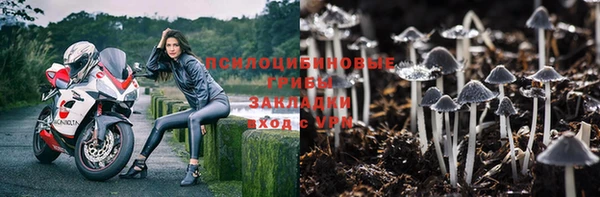 твердый Новокубанск