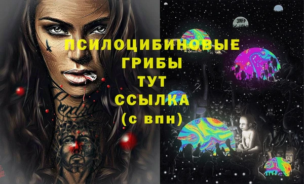 твердый Новокубанск