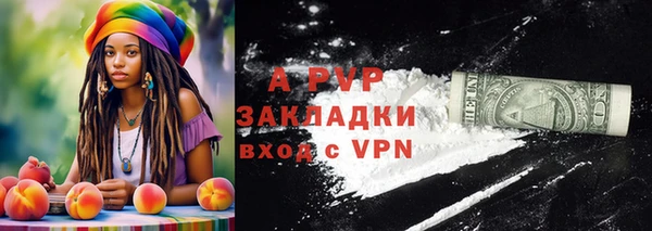 стаф Новодвинск