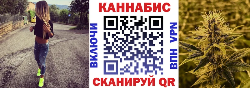 Канабис MAZAR  Купить закладки  Курчалой 